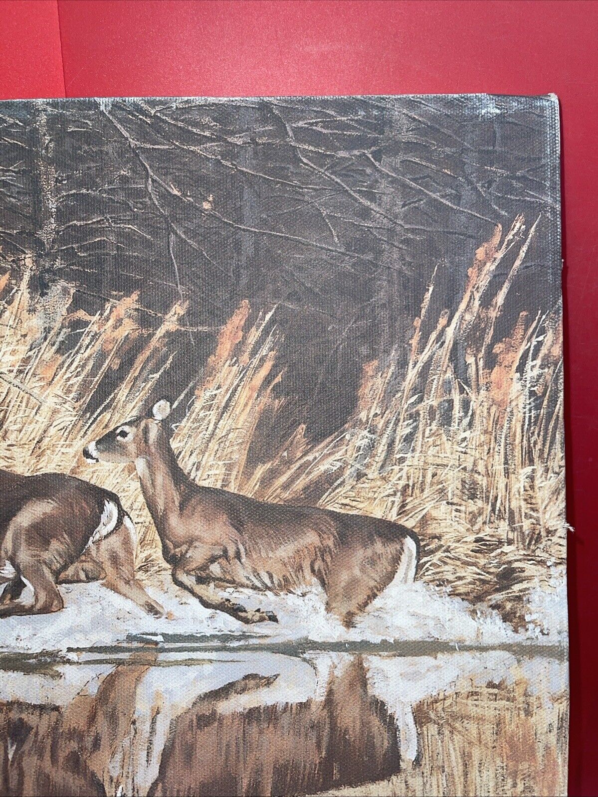 Vintage Deer Painting Print Picture On Fredrix Artist Series Canvas Signed 1988