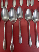 Set of 29 Items in Stainless Steel Community