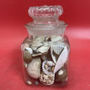 Nice lot of Sea Shells In Antique Glass lidded Jar Beautiful Ocean Décor