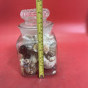 Nice lot of Sea Shells In Antique Glass lidded Jar Beautiful Ocean Décor