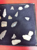 Native American Artifacts Lot 24 w/ Frame Arrowheads Collection 12”x8” Frame #6