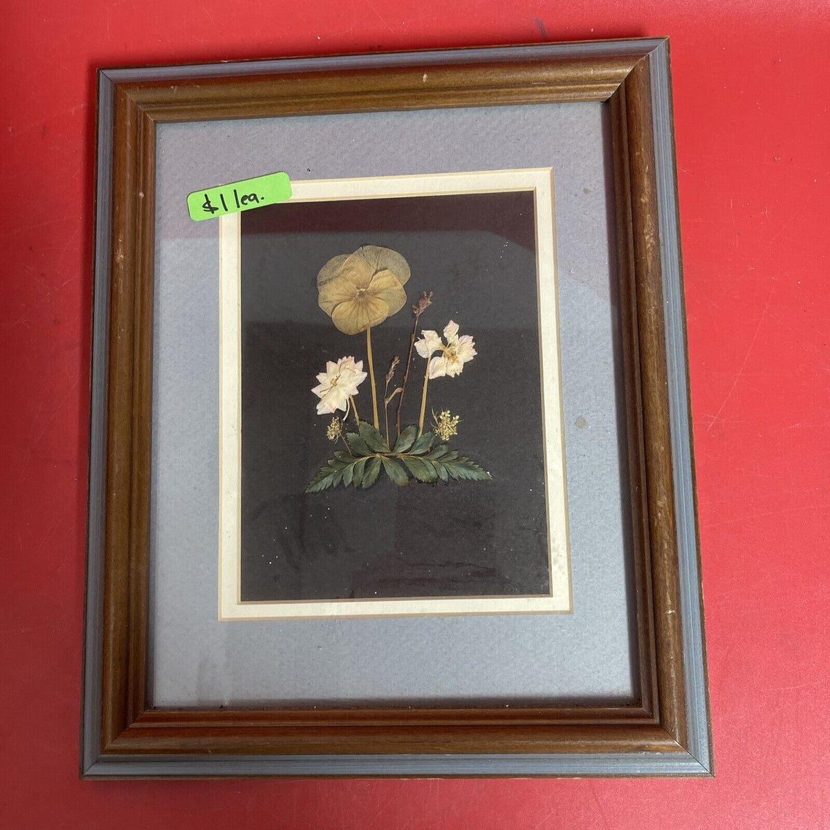 vintage framed art signed rocky mountain wildflowers dried botanical lot 3