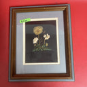 vintage framed art signed rocky mountain wildflowers dried botanical lot 3