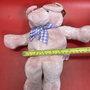Seated 13" Squeeze to Oink Pig Named Charlotte Bean Bottom Plush Stuffed Toy
