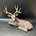 Deer Buck Stag Resting Laying Down Vtg Homco Shelf Figurine 267 1984