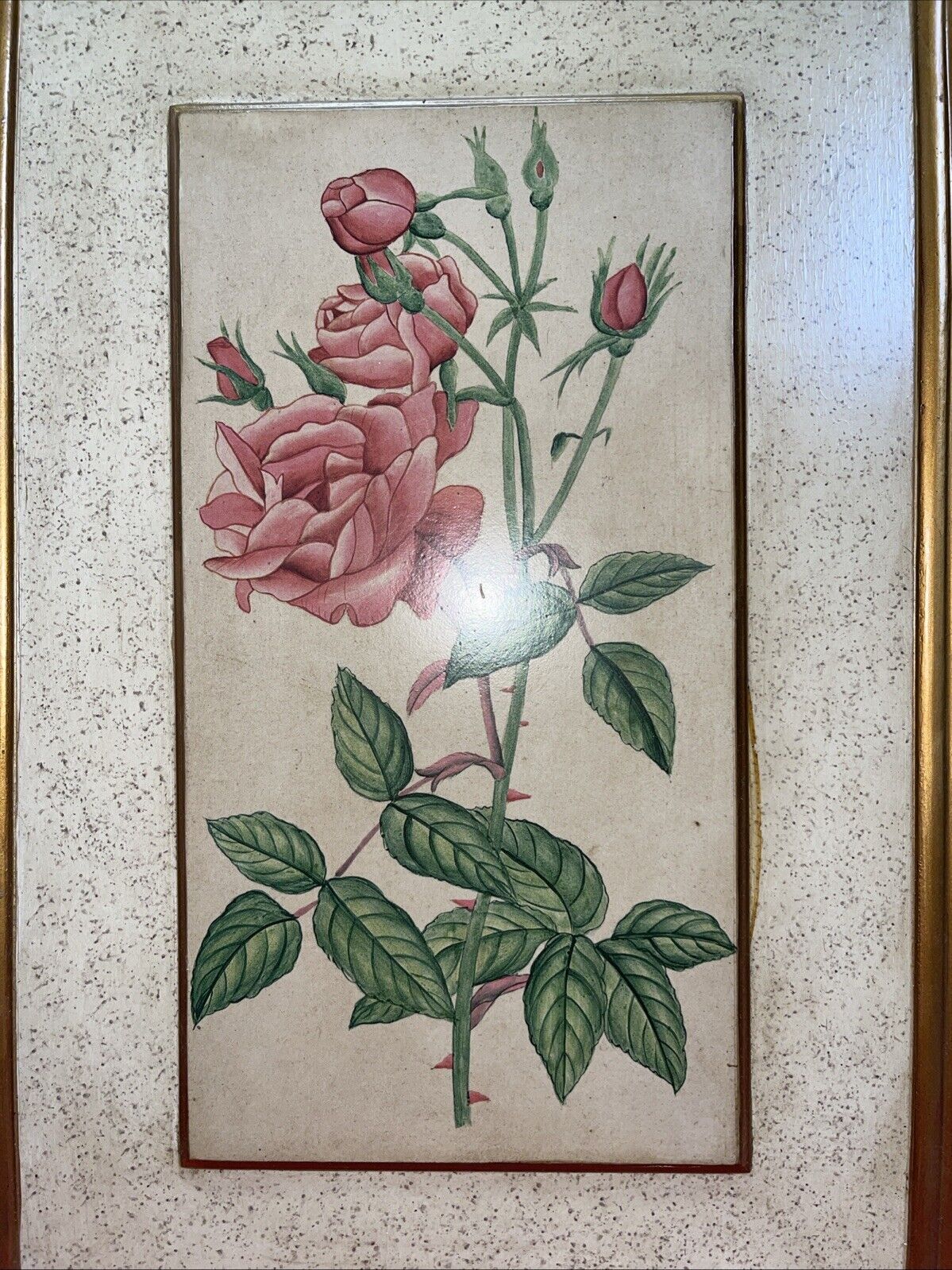 Vintage Botanical Lithograph Flower Print Roses Tree