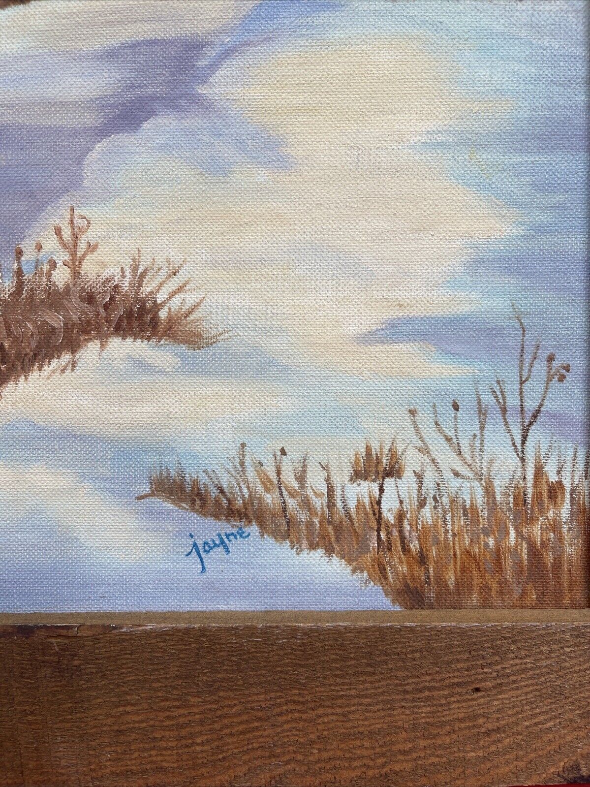 Vintage  Oil On Canvas Signed By Jayne Cowles