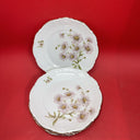 Mitterteich Bavaria Daisy Bell 6500 7 3/4" Salad Plates Lot 5