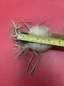 Decorative, Hand Crafted, Ceremonial Pipe
