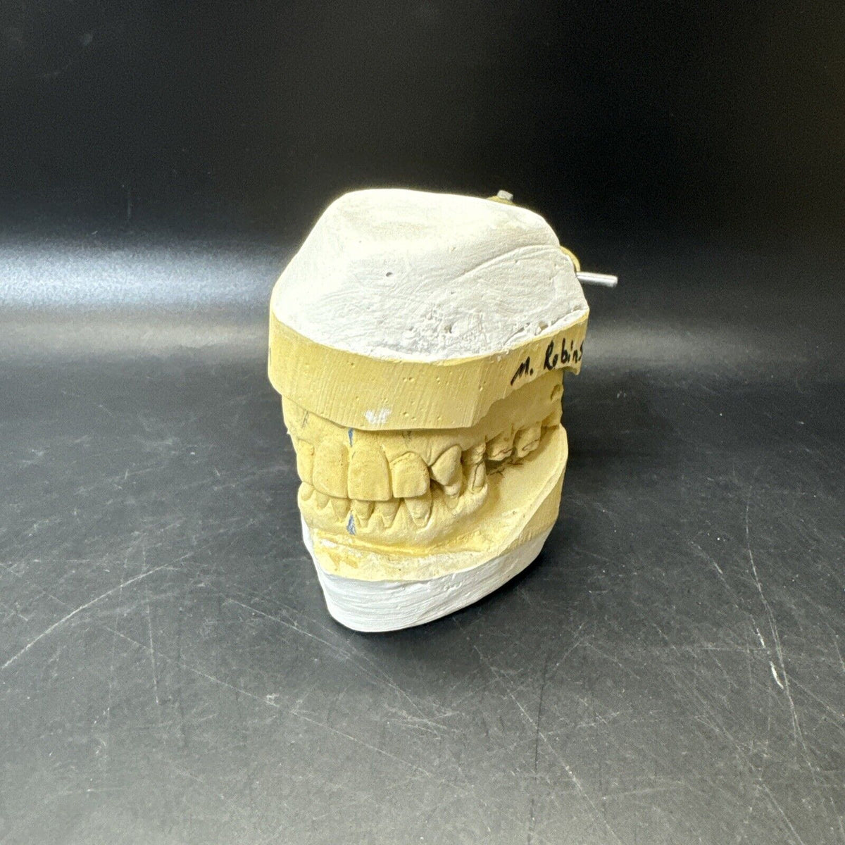 Full Mouth Teeth Mold Metal Jaw Dentures Impressions Oddity Macabre Halloween/#1