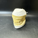 Full Mouth Teeth Mold Metal Jaw Dentures Impressions Oddity Macabre Halloween/#1