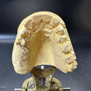 Full Mouth Teeth Mold Metal Jaw Dentures Impressions Oddity Macabre Halloween/#1
