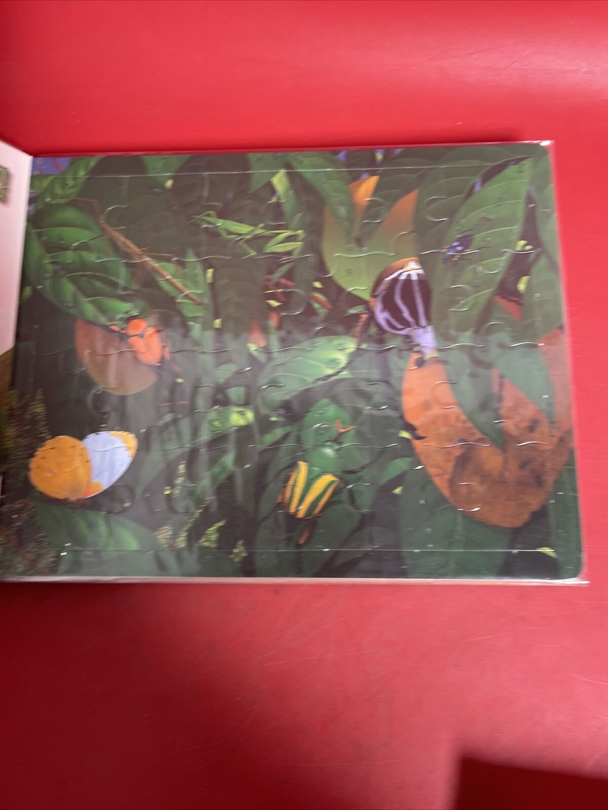 Puzzle Book.Lot-4 Dinosaurs,Safari,Mini Beasts,Okean