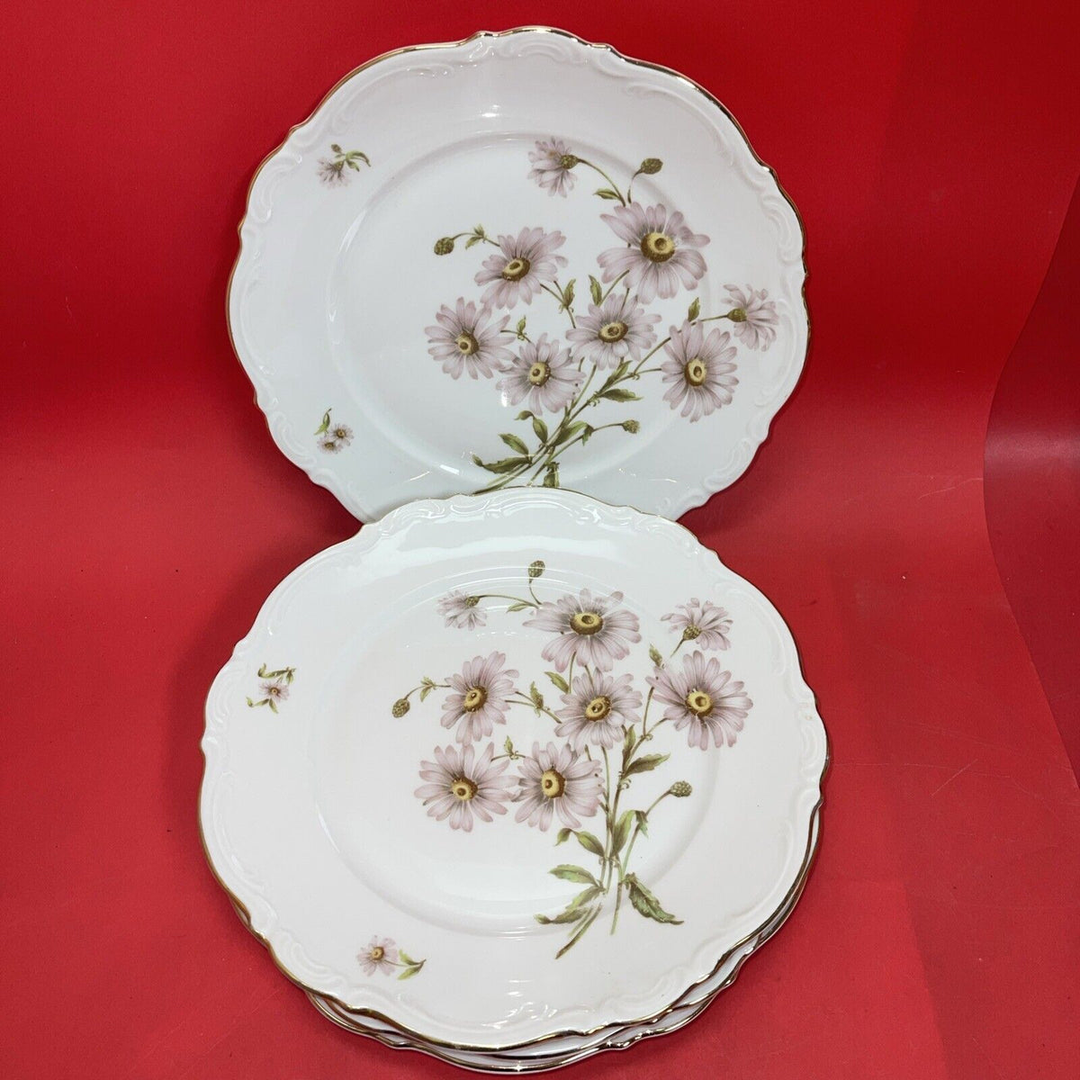 8 Mitterteich Daisy Bell 10 1/2" Dinner Plates