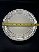 Vintage Taylor Smith & Taylor China with Platinum Trim 9.25" Dinner Plates/Lot 5