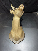 Axis deer mount