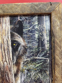 Lone Wolf framed picture art Kevin Daniel