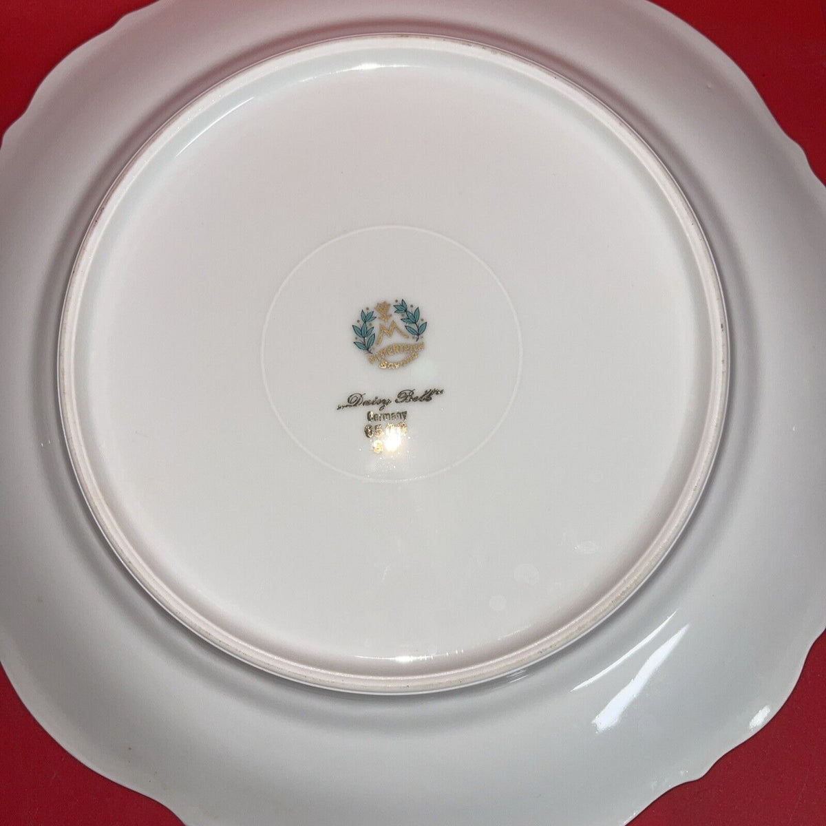 8 Mitterteich Daisy Bell 10 1/2" Dinner Plates