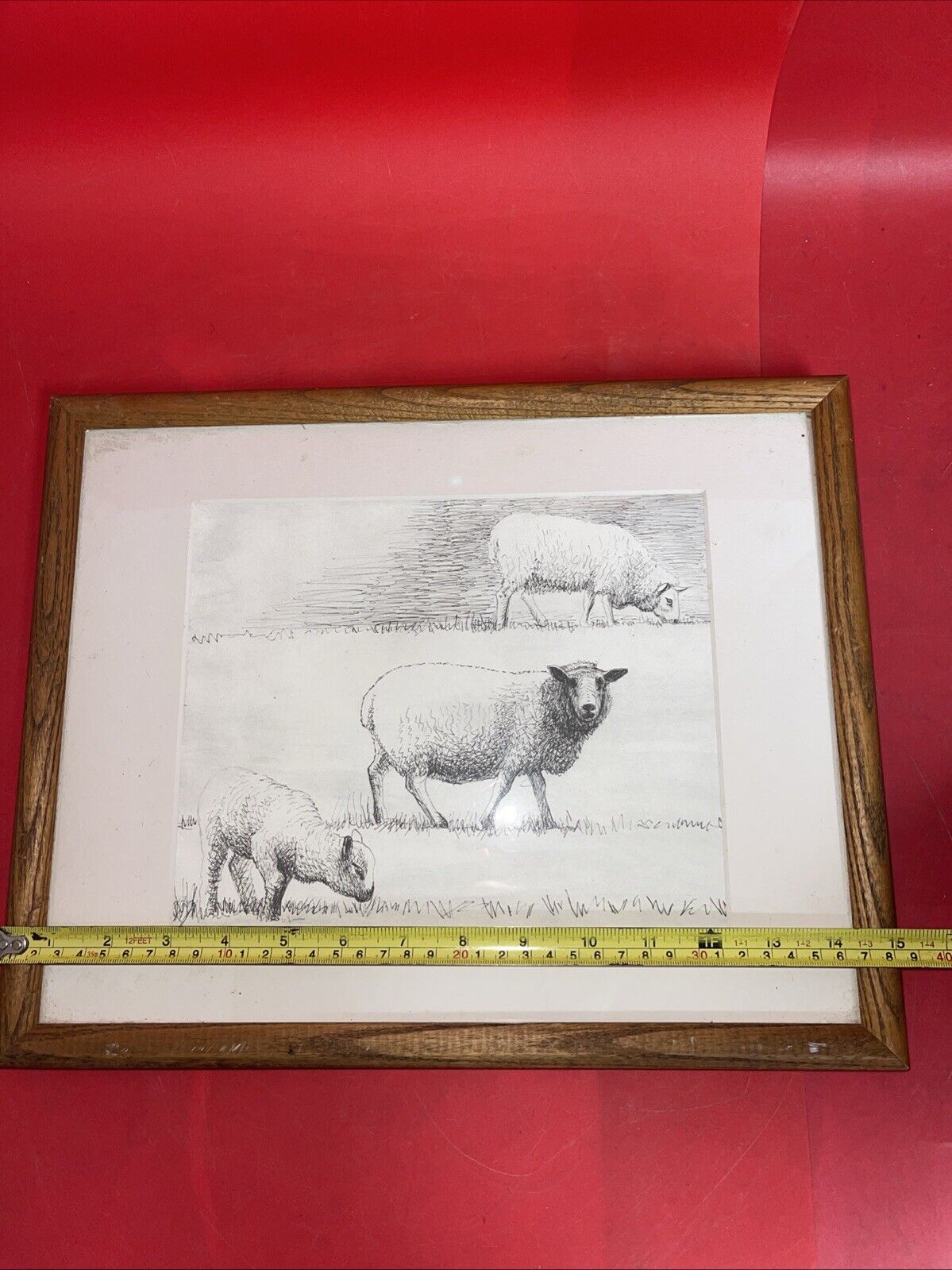 Mounted Henry Moore sheep lithographic print