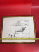 Mounted Henry Moore sheep lithographic print