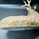Deer Buck Stag Resting Laying Down Vtg Homco Shelf Figurine 267 1984