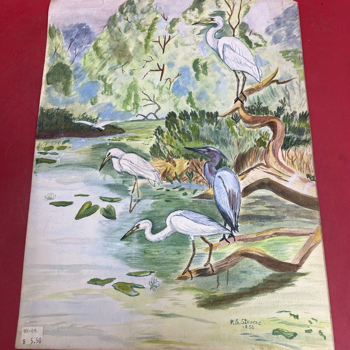 Heron Bird American Egret Print