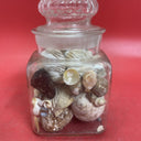 Nice lot of Sea Shells In Antique Glass lidded Jar Beautiful Ocean Décor