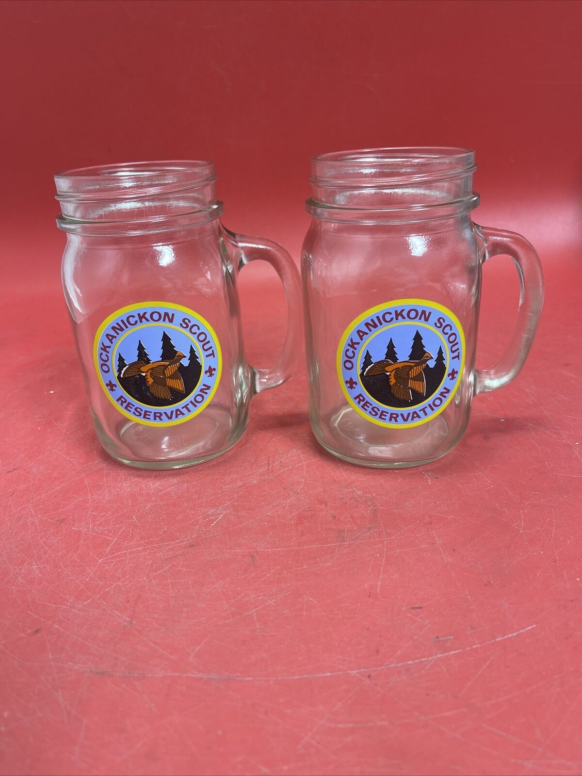 Ockanickson Scout Reservation Mug Lot 2