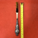 Sterling Silver Handled Toothbrush W/Boars Hair Bristles