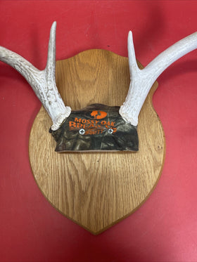 Deer antlers on a wooden surface