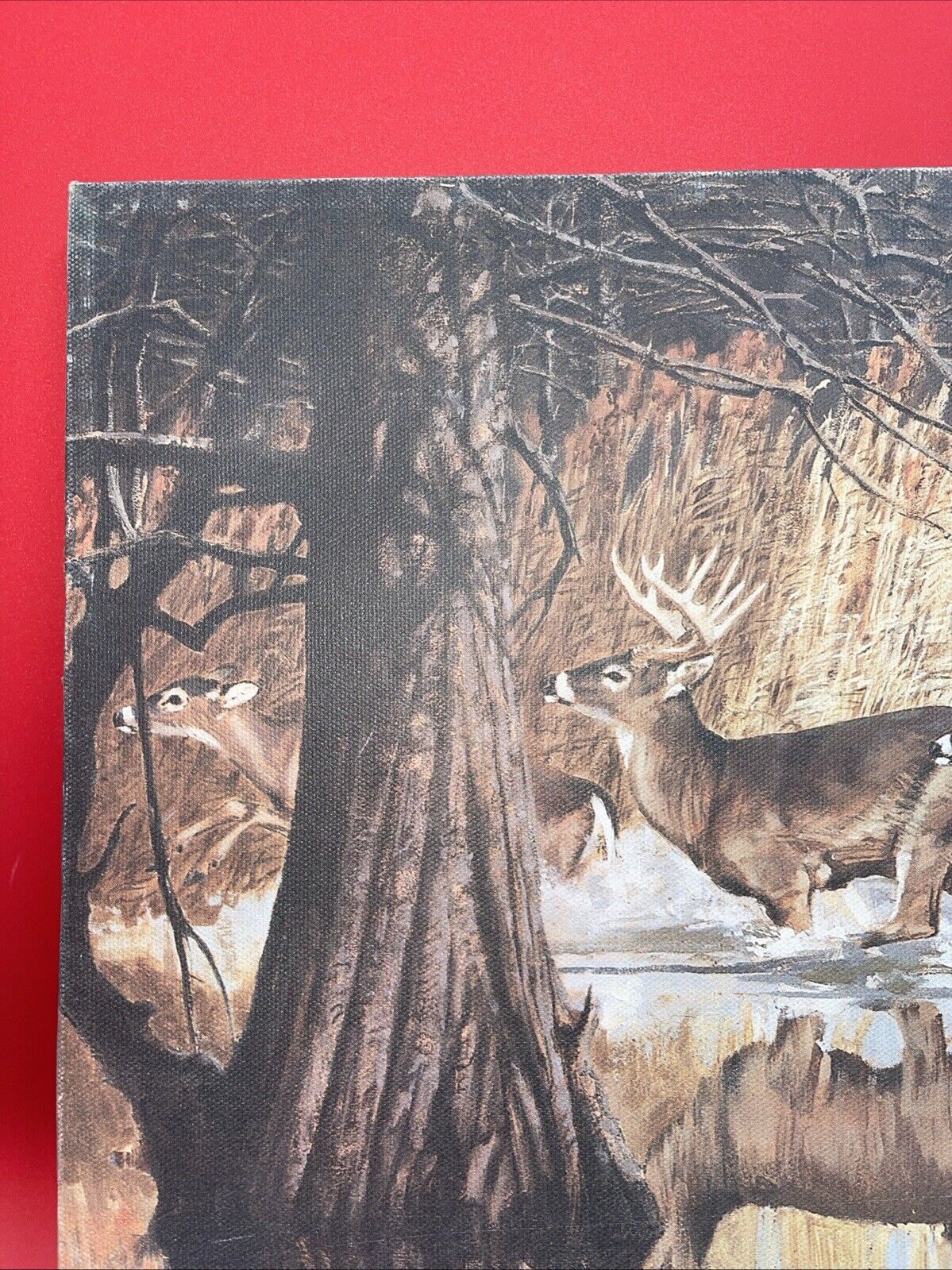 Vintage Deer Painting Print Picture On Fredrix Artist Series Canvas Signed 1988