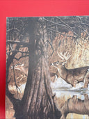 Vintage Deer Painting Print Picture On Fredrix Artist Series Canvas Signed 1988