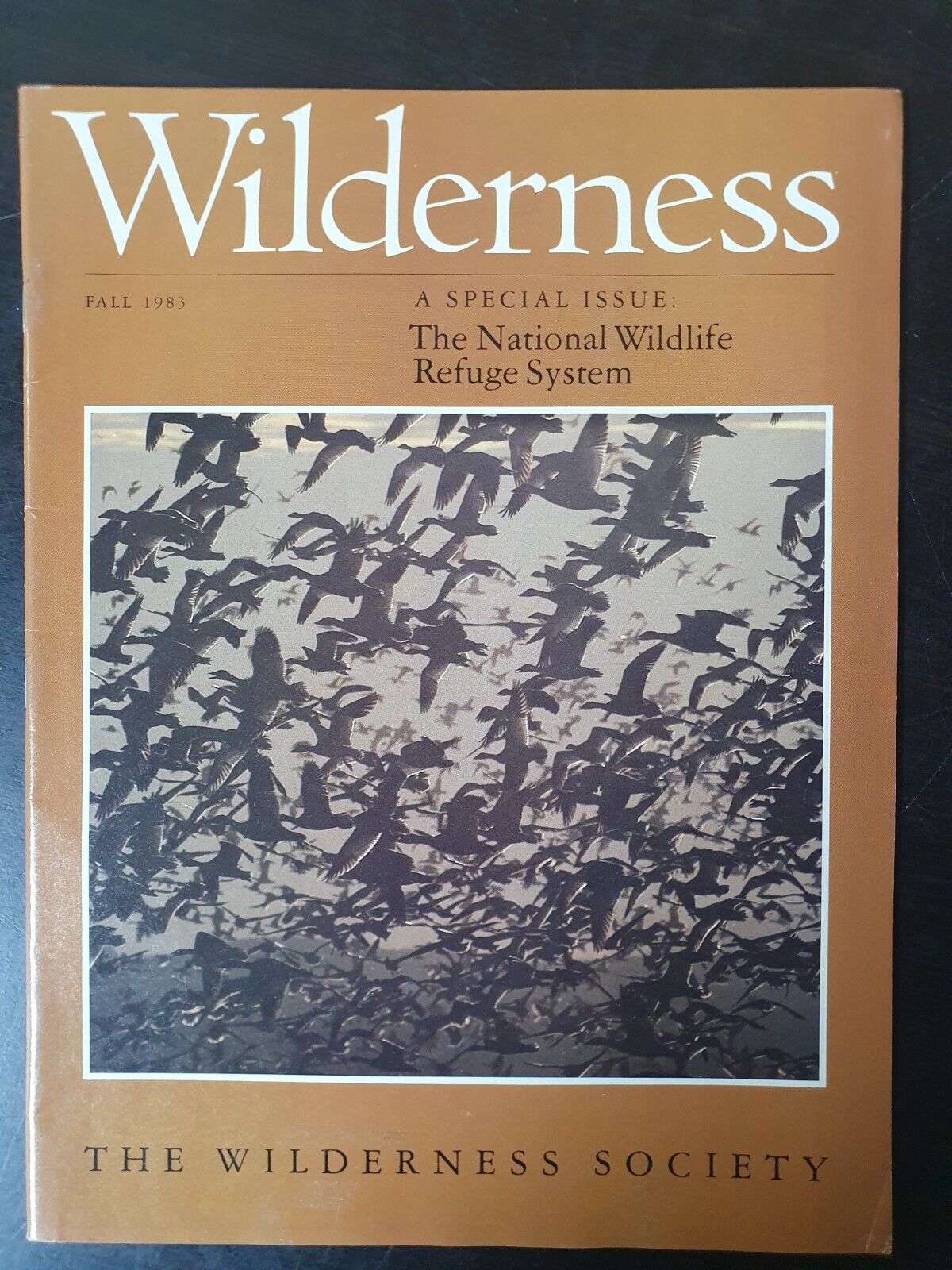 Wilderness/ Magazines Lot Of 10 (1983, 1989-1991)