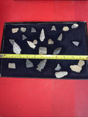 Native American Artifacts Lot 24 w/ Frame Arrowheads Collection 12”x8” Frame #6