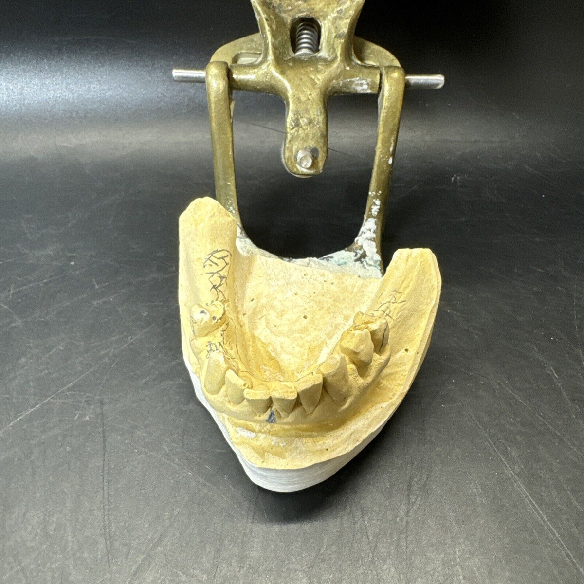 Full Mouth Teeth Mold Metal Jaw Dentures Impressions Oddity Macabre Halloween/#1