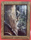 Lone Wolf framed picture art Kevin Daniel