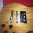 Vintage Electra  Guitar 6 Strings Made In Japan