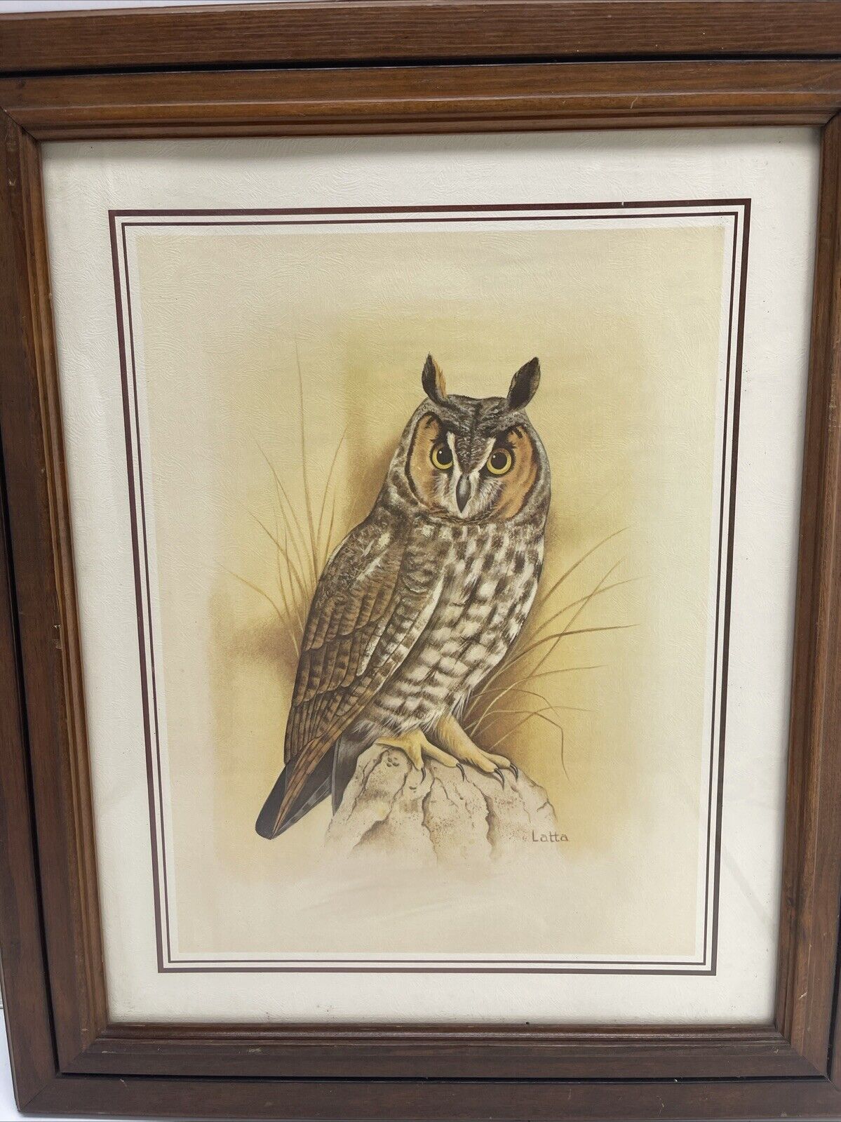 Vintage Great Horned Owl Art Print