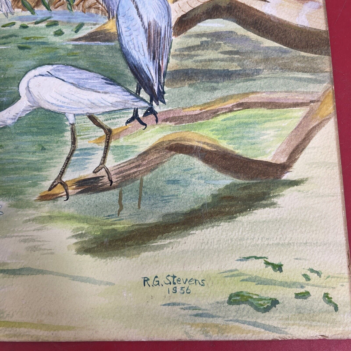 Heron Bird American Egret Print