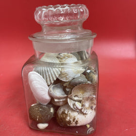 Nice lot of Sea Shells In Antique Glass lidded Jar Beautiful Ocean Décor