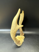 Cabin Decor Deer Antlers