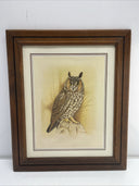 Vintage Great Horned Owl Art Print