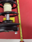 Suspension Strut and Coil Spring Assembly Front Unity 11480