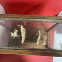 Vintage Model Ship ,,Captain Kidd’’ In a Wooden Frame & Glass