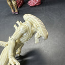 Lot Of 3 Alien Collection Predator Xenomorph Action Figures, #6