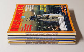 Bass Master magazine Lot of 10 (1993)