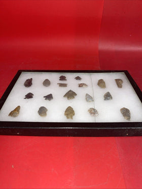 Native American Artifacts Lot 18 w/ Frame Arrowheads Collection 12”x8” Frame #3