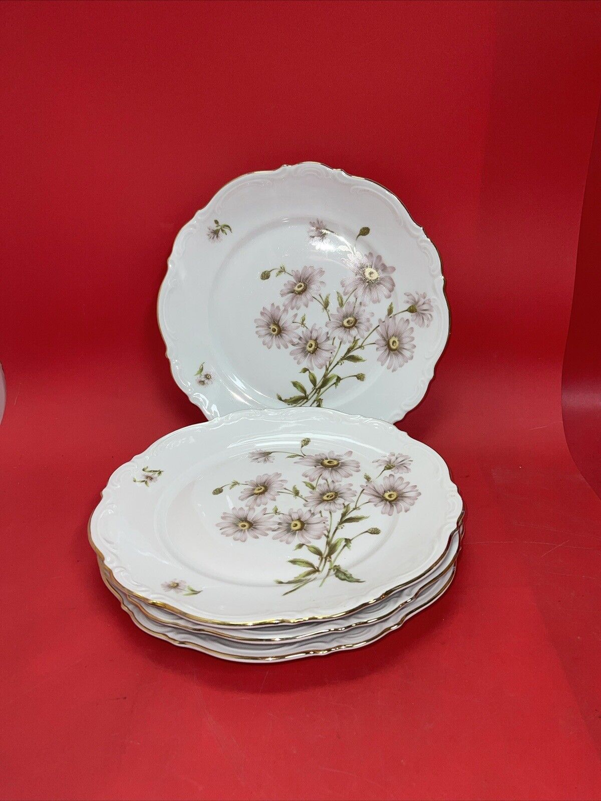 8 Mitterteich Daisy Bell 10 1/2" Dinner Plates