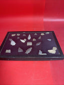 Native American Artifacts Lot 24 w/ Frame Arrowheads Collection 12”x8” Frame #6