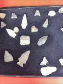Native American Artifacts Lot 24 w/ Frame Arrowheads Collection 12”x8” Frame #6